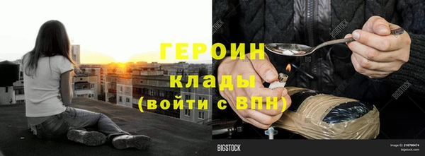 индика Богородицк