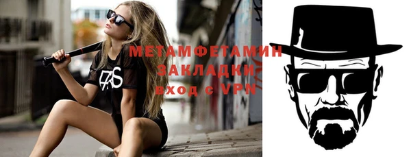 индика Богородицк