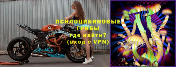 индика Богородицк