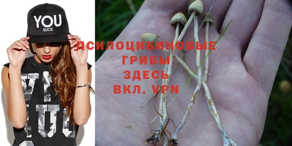 МДПВ Сосновка