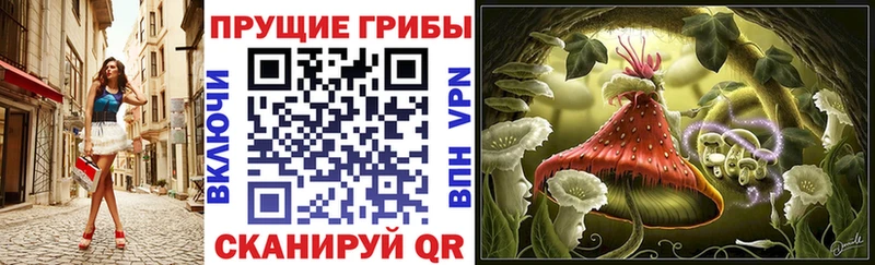 Псилоцибиновые грибы прущие грибы  мега ссылки  Бокситогорск 